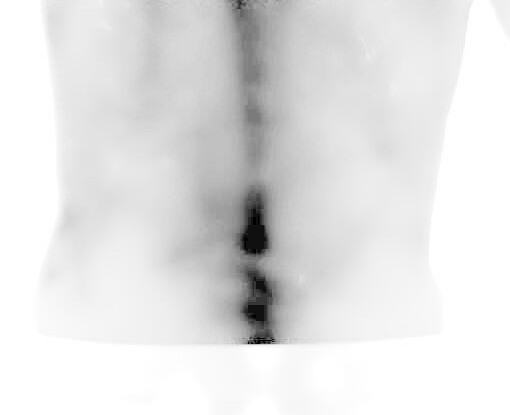 Bioespectral back example